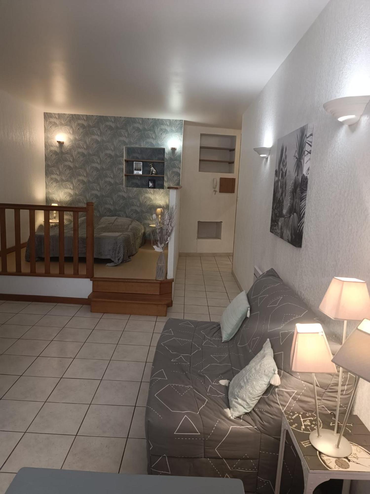 Grand Studio Meuble Chez Coco Romans-sur-Isere Exterior photo